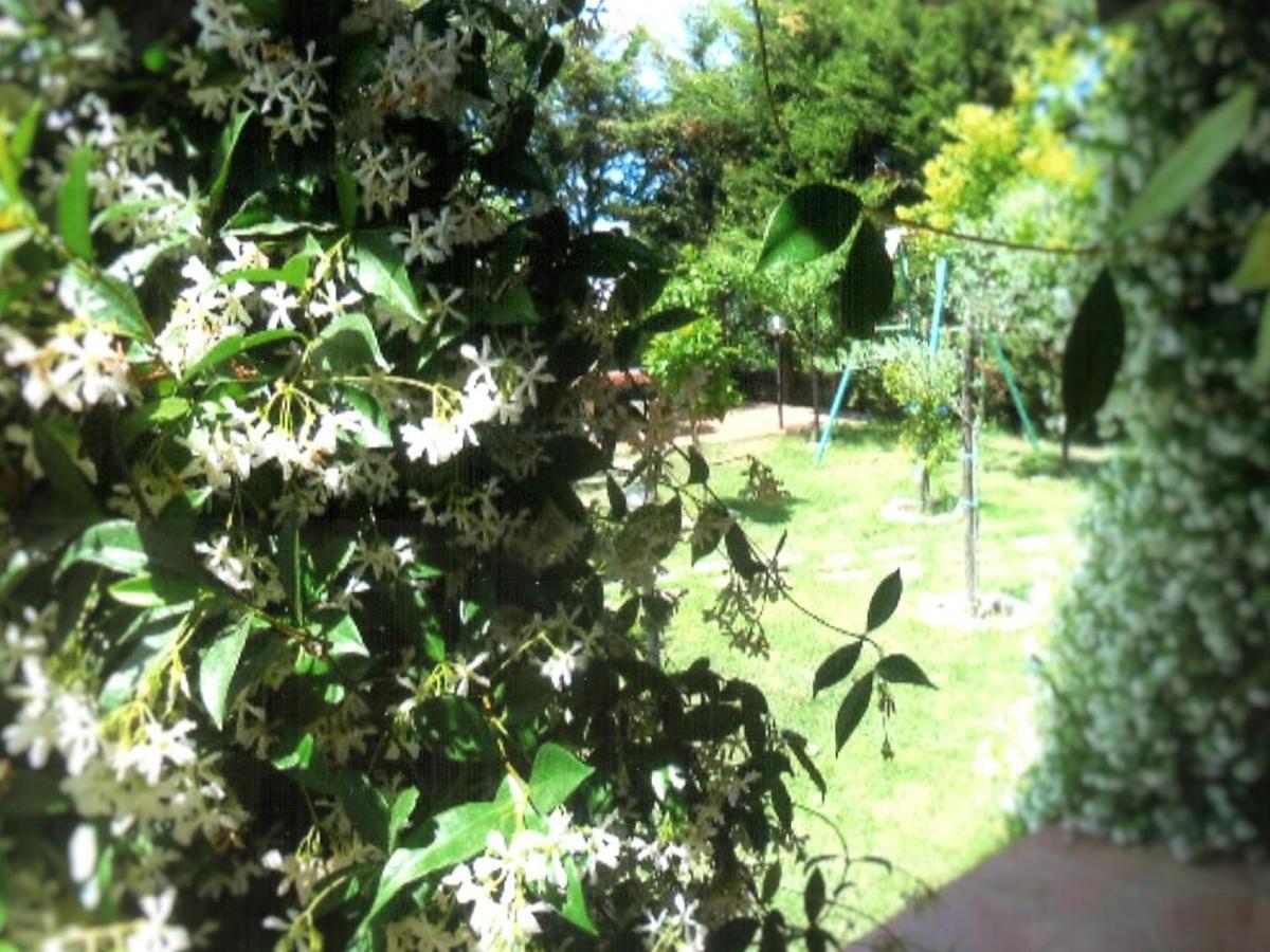 B&B Hibiscus Agropoli Exterior foto