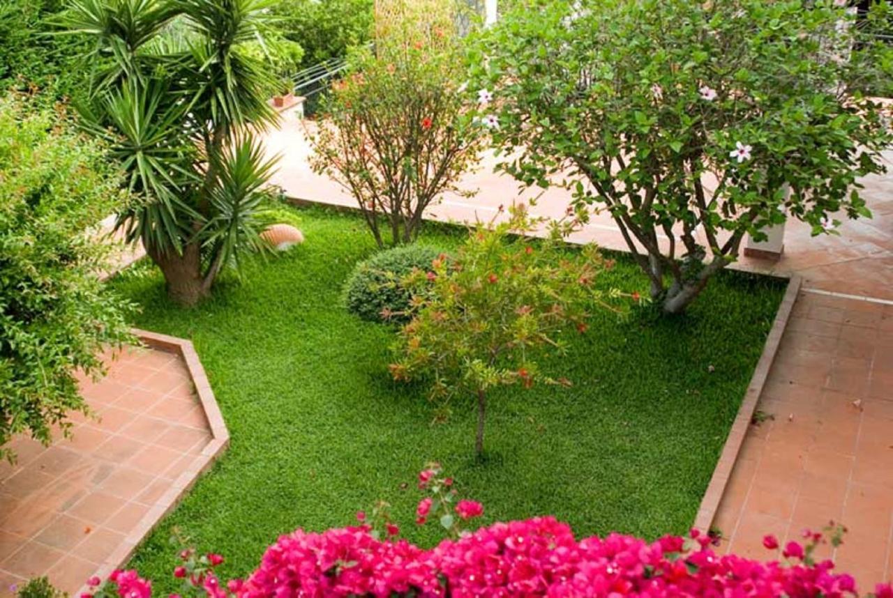 B&B Hibiscus Agropoli Exterior foto